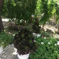 ویلایی ۴۲۰ متر سه خواب، شیک|اجارهٔ خانه و ویلا|اصفهان, جامی|دیوار