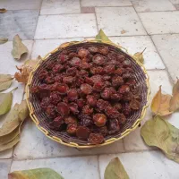آلوچه خشک برقانی|خوردنی و آشامیدنی|اصفهان, جلفا|دیوار