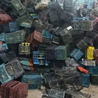 سبد میوه و کارتون