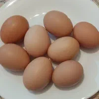 تخم مرغ محلی تازه
