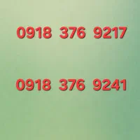 0918-376-9217