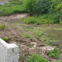 زمین ۲۵۰ متری داخل بافت مسکونی لفور پروانه در دست|فروش زمین و ملک کلنگی|آلاشت, |دیوار