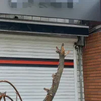 مغازه در محدوده پارکشهر، لاکانی، ضیابری ۱ و ۲