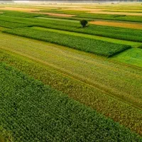راهنمایی بفرمایید