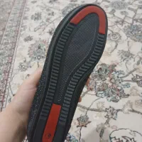 کالج شاین دار|کیف، کفش، کمربند|قیدار, |دیوار