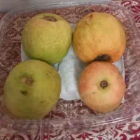 میوه جوافه