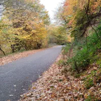 زمین ۳۶۵ متر مسکونی|فروش زمین و ملک کلنگی|رستم‌آباد, |دیوار