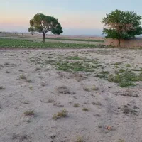 زمین مخصوص باغ و باغچه|فروش زمین و ملک کلنگی|جوادآباد, |دیوار