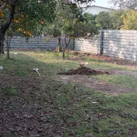 زمین کاربری مسکونی|فروش زمین و ملک کلنگی|ارطه, |دیوار