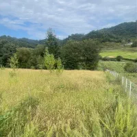 زمین-فروشی-1200م-باغی-روستای-سراگاه