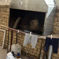 منقل زغالی  با  فن وسیخ کباب وجگر