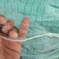 کرف ماهیگیری|ماهیگیری|بندر گناوه, |دیوار