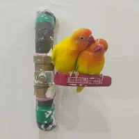 طوطی کوتوله برزیلی « فیشر رنگ خاص»|پرنده|قروه, |دیوار