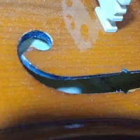 ویولن حرفه ای|ویولن|بوشهر, |دیوار