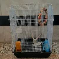 قفس پرنده با وسایل