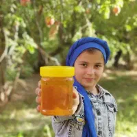 شهر عسل در بندرعباس  ...