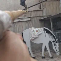 چوب بامبو 6 متری
