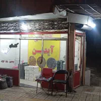 کشمش ملکان،تاکستان در میانه