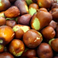 عناب تازه و درشت
