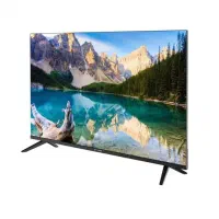 تلویزیون ۵۵ اینچ استوا اکبند