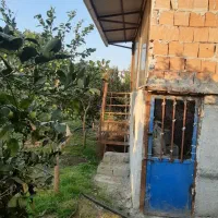 زمین مسکونی باغی|فروش زمین و ملک کلنگی|خوش‌رودپی, |دیوار