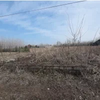 باغ داخل طرح هادی