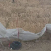 پرس کمل شالی