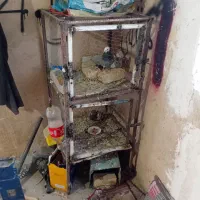 فروش قفس دو طبقه