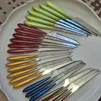 4 دست (24 عدد ) چاقو میوه خوری خارجی