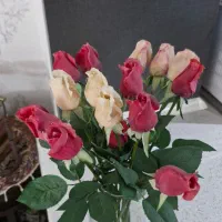 گل ها خارجی و گدان تمیز