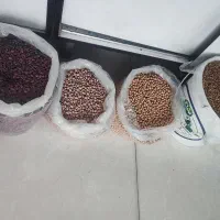 فروش انواع حبوبات با کیفیت و قیمت مناسب