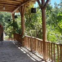 باغ ویلا طرقبه