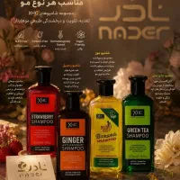 ادمین مسلط به سایت ترب اسنپ پی دیجی پی باسلام