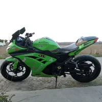 کاوازاکی نینجا