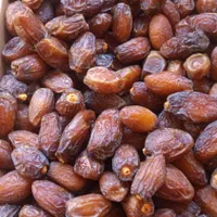 مجول|خوردنی و آشامیدنی|شیراز, منطقه هوایی شهید دوران|دیوار