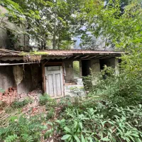 اجاره کافه رستوران بوتیک هتل|اجارهٔ مغازه و غرفه|رشت, بازار|دیوار