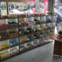 تولید ویترین‌ ۰۱ دکور ۰ تا ۱۰۰ قفسه مغازه|فروشگاه و مغازه|کرج, کمال‌شهر|دیوار