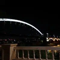 داوطلبانه وکیل