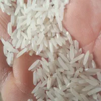 برنج طارم محلی دانه بلند خوزستان|خوردنی و آشامیدنی|دزفول, |دیوار