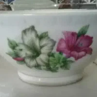 کاسه ی قدیمی گل شیپوری