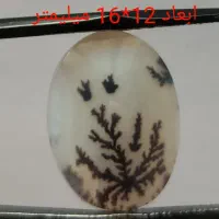 حراجی شجر شماره دو|جواهرات|زنجان, |دیوار