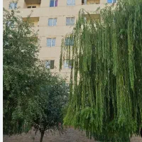 آپارتمان ۷۰ متری شهرک مدائن