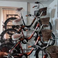 فروش نقدی و اقساطی(بتا)