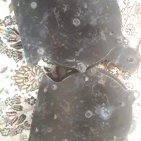 بوق کاپریسی