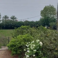 زمین-بومگردی-نشتارود-3هکتارداخل-زمین-سوله-برای