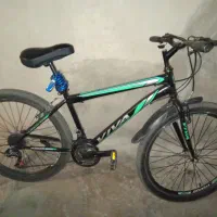 دوچرخه ویوا