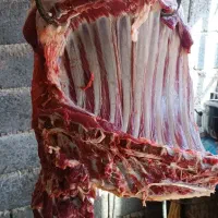 قصابی صداقت دراسرع وقت درخدمت همشهریان عزیزمیباشد|خدمات پیشه و مهارت|نیشابور, شهرک زرگران|دیوار