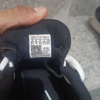 کتونی اورجینال|کیف، کفش، کمربند|سبزوار, قاضی زاد|دیوار