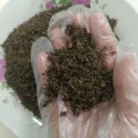 سبزی قورمه سبزی