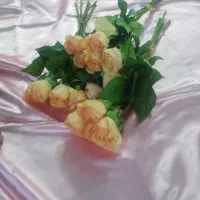 گل مصنوعی|گل مصنوعی|اصفهان, جلالیه|دیوار